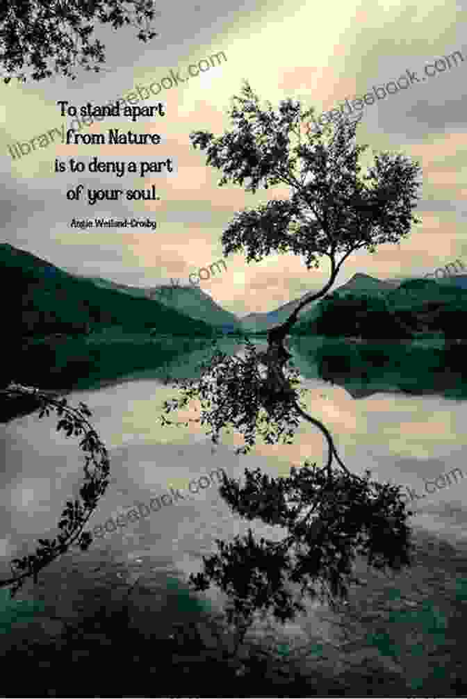 A Beautiful Landscape Photograph With A Quote About Nature Near Home: Fantastic Photographs Sprinkled With Inspirational Quotes (Soul Photography 2)