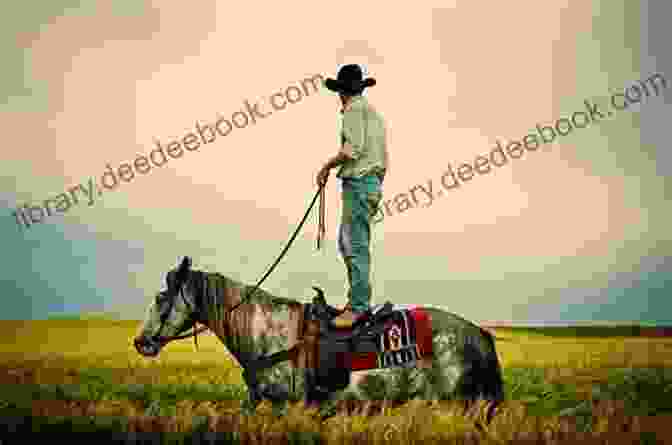 A Cowboy On A Horse A Real Cowboy Never Says No (Wyoming Rebels)