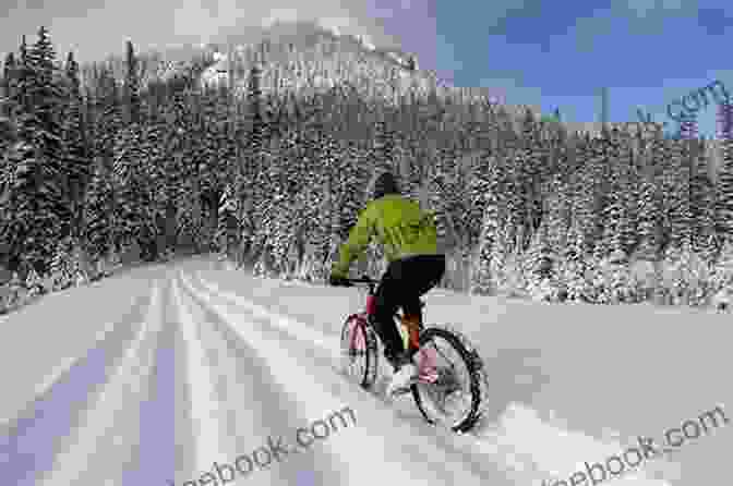 A Cyclist Riding Through A Scenic Landscape In Ontario Cycling In Ontario Matthew P Mayo