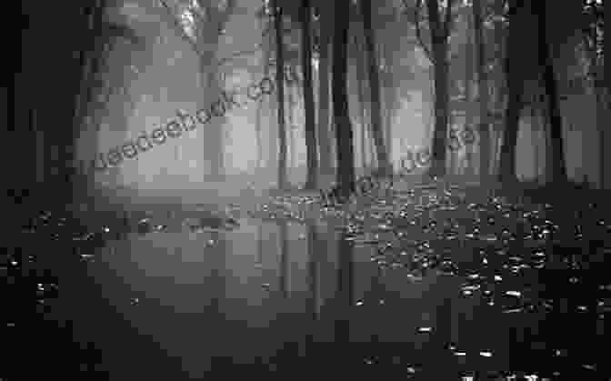 A Dark And Eerie Forest, Symbolizing The Lurking Danger Alpha And Omega: A Companion Novella To Cry Wolf