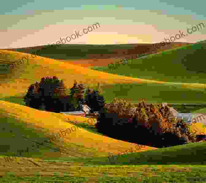A Panoramic View Of Rolling Hills, Painted With Vibrant Colors Of Green, Yellow, And Orange, Under A Vast Blue Sky With Billowing Clouds View From A Hill John Bailey