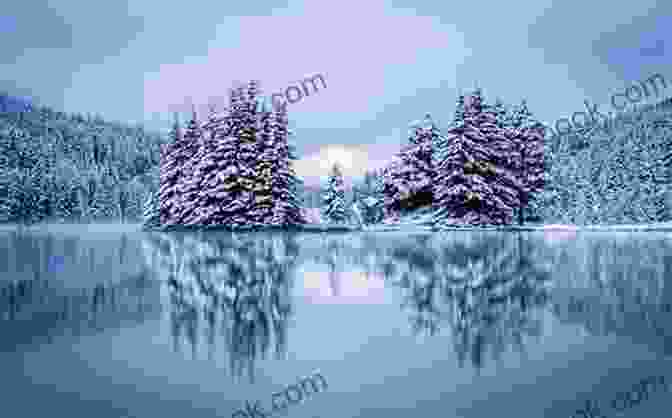 A Serene Winter Landscape With A Frozen Lake And Snow Covered Trees Winter S Secret: Clean Romance Mystery (Northern Intrigue 1)
