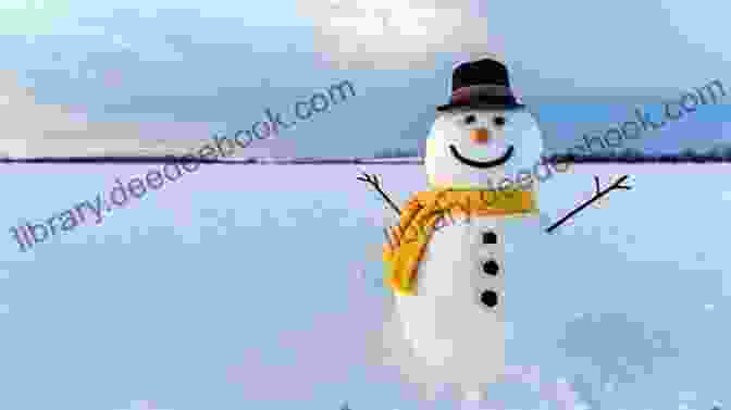 A Snowman Standing In A Snow Covered Field, Looking Up At The Sky Cross Stitch Pattern: Gnome With A Snowman: Counted Cross Stitch