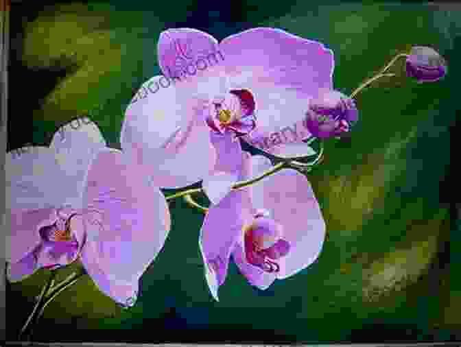 A Vibrant Digital Painting Of An Orchid, Capturing Its Exotic Beauty And Intricate Patterns. Floral Art: A Unique Collection Of Floral Art From Paintings To Drawings And Digital Art A Beautiful Botanical Unknown World Of Floral Art In The Form Of This Illustrated