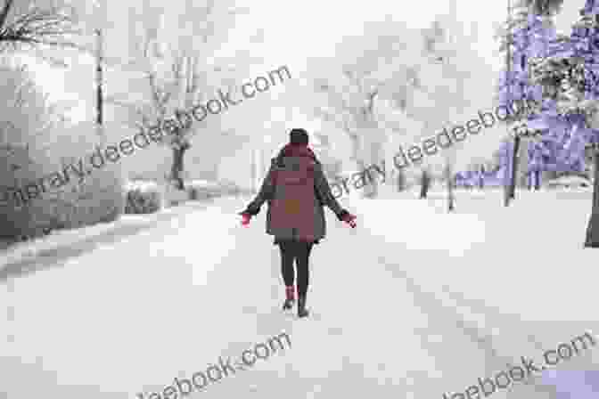 A Woman In A Winter Coat Walking Through A Snowy Forest Winter S Secret: Clean Romance Mystery (Northern Intrigue 1)