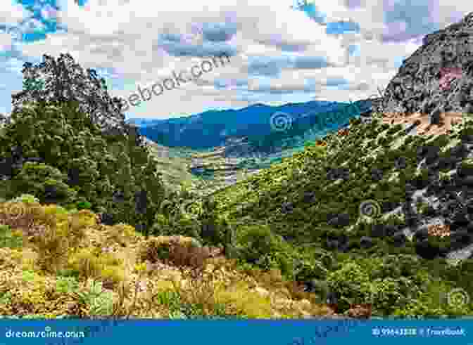 Breathtaking Natural Landscape In Sardinia, With Mountains, Valleys, And Forests Pills Of Sardinia : Discover Authenticity Beauty Extraordinary Places