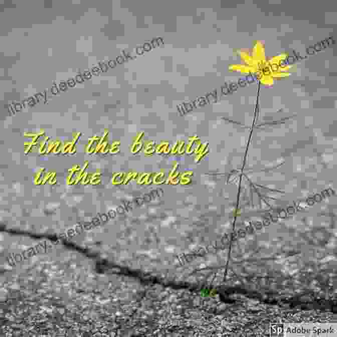Embracing Imperfection: Finding Beauty In The Cracks How To Change The Way You Think: Your Journey To Finding Happiness