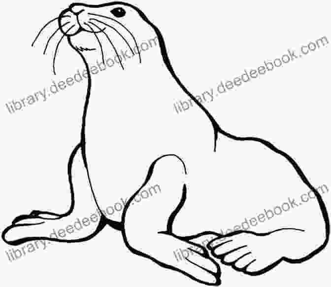 Funny Seal Coloring Page Coloring For Children From 3 5 Years Old Funny Animals
