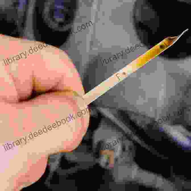 Image Of Dipstick With Oil Level Marks Top Ten Things To Know About Your 5 9 Cummins Before You Drive Another Mile: Increase The Efficiency And Longevity Of Your 5 9 Cummins Diesel