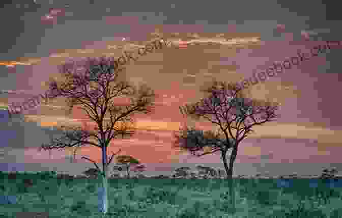 Sunrise In Kruger National Park, South Africa Sunrise Over South Africa Ketan Joshi