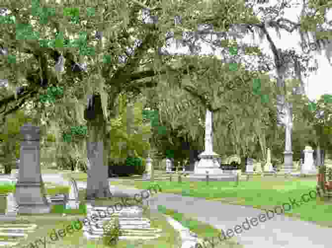 Wentworth Street Cemetery, Charleston, South Carolina Charleston S Historic Cemeteries (Images Of America)