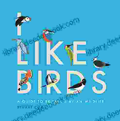 I Like Birds: A Guide To Britain S Avian Wildlife