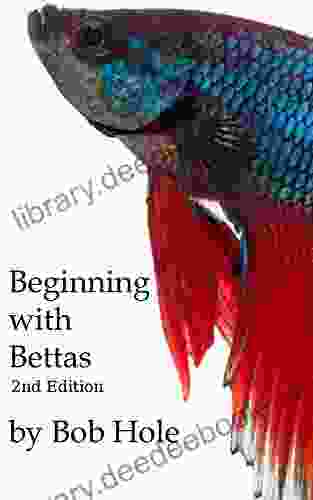 Beginning With Bettas Bob Hole