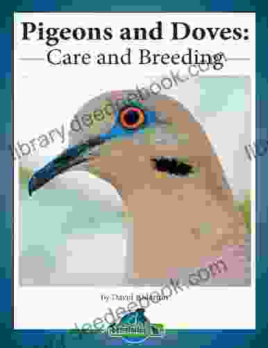 Pigeons And Doves: Care And Breeding (Practical Bird Care 1)