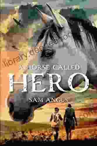 A Horse Called Hero Sam Angus
