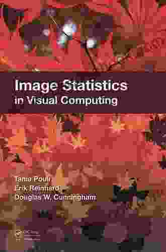Image Statistics In Visual Computing