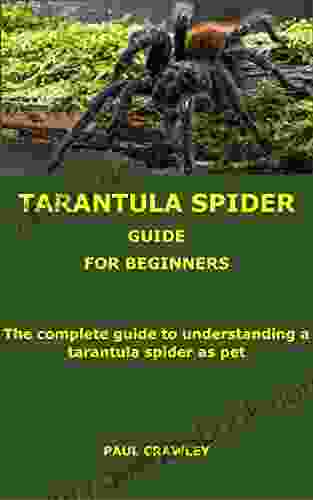 TARANTULA SPIDER GUIDE FOR BEGINNERS: The Complete Guide To Understanding A Tarantula Spider As Pet