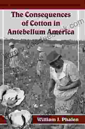 The Consequences Of Cotton In Antebellum America
