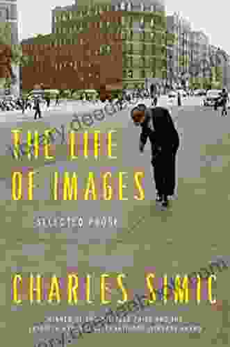 The Life Of Images: Selected Prose
