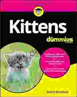 Kittens For Dummies Dusty Rainbolt